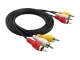 Тюльпаны RCA