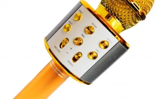 Микрофоны для караоке в Киеве
