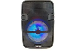 Портативна колонка міні-валіза з bluetooth ESS-110