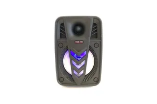 Портативна колонка валізу з bluetooth ESS-105