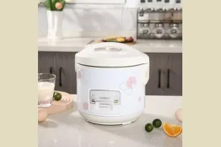 Рисоварка 3л 500W SPUOSR CFXB30-B