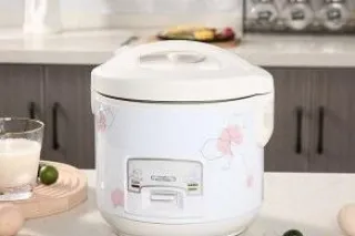 Рисоварка 3л 500W SPUOSR CFXB30-B
